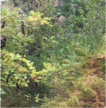 finca rústica en malaga