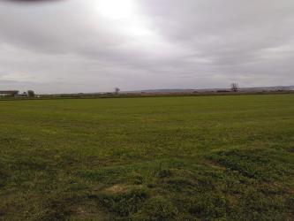 finca rústica en pastriz