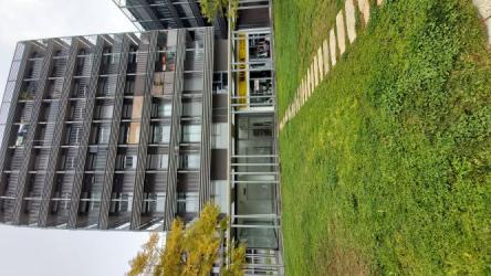 local comercial en castellon de la plana