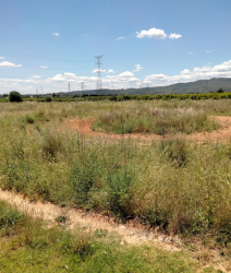 finca rústica en catadau