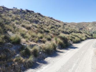 finca rústica en arboleas