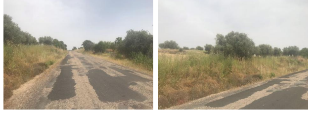 finca rústica en puebla de montalban (la)