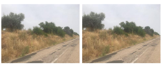 finca rústica en puebla de montalban (la)