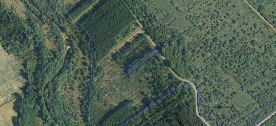 finca rústica en alcubilla de nogales