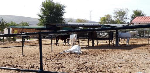 finca rústica en trebujena