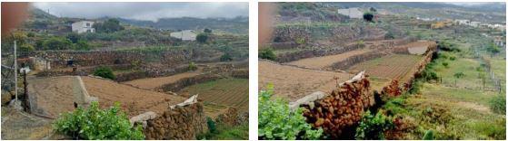 finca rústica en arafo