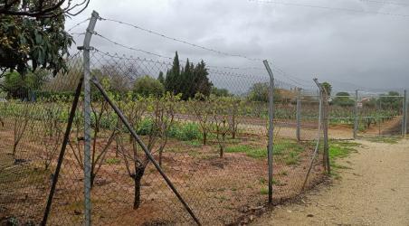 finca rústica en canals