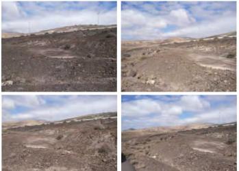 finca rústica en pajara