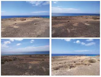 finca rústica en pajara