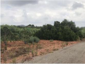 finca rústica en torres torres