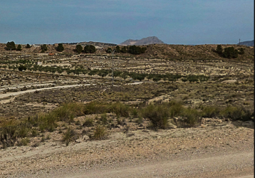finca rústica en abanilla