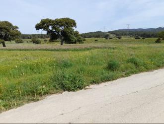 finca rústica en requena