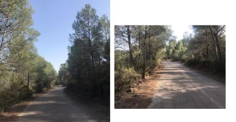 finca rústica en estivella