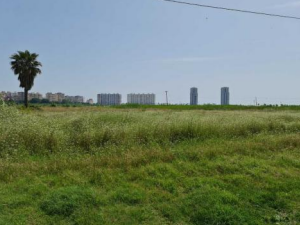 finca rústica en cullera