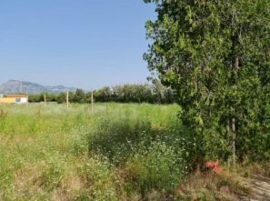 finca rústica en tavernes de la valldigna