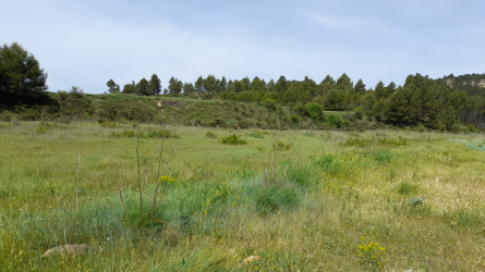 finca rústica en requena