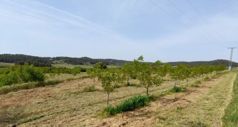finca rústica en requena