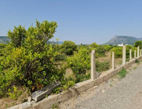 finca rústica en tavernes de la valldigna