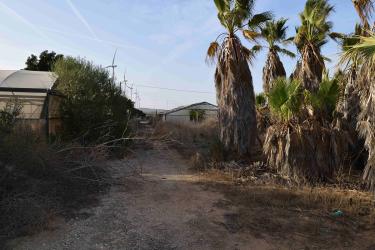 finca rústica en puerto real