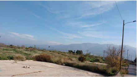 finca rústica en librilla