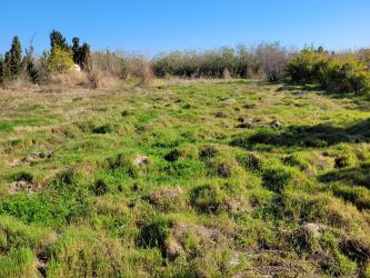 finca rústica en gandia