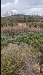 finca rústica en onda