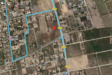 finca rústica en elx/elche