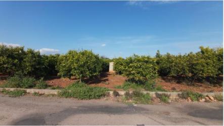 finca rústica en onda