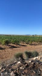 finca rústica en alcazar de san juan
