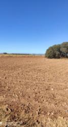 finca rústica en alcazar de san juan