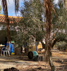 finca rústica en formentera del segura