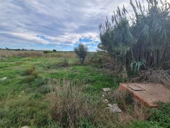 finca rústica en moncofa