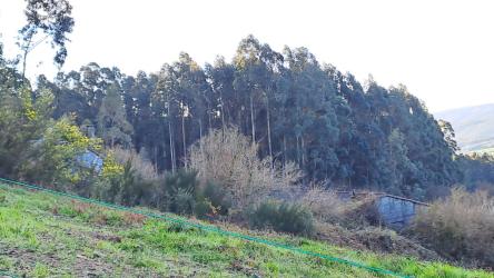 nave industrial en naron