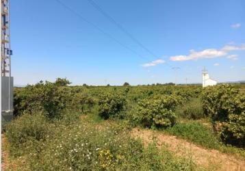 finca rústica en betera