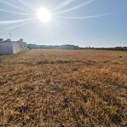 finca rústica en fuente de piedra
