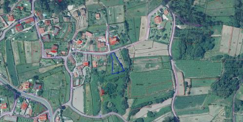 finca rústica en tomiÑo