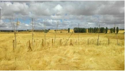 finca rústica en grajera