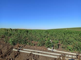 finca rústica en las cabezas de san juan