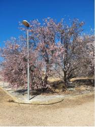 solar en val de santo domingo-caudilla