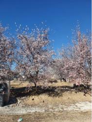 solar en val de santo domingo-caudilla