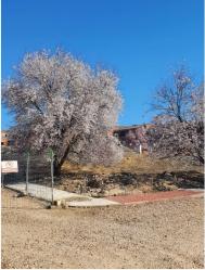 solar en val de santo domingo-caudilla