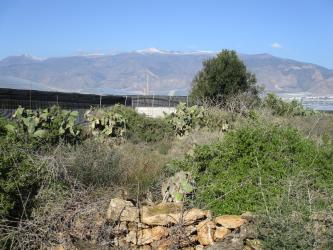 finca rústica en mojonera (la)
