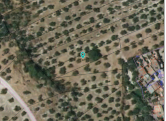 finca rústica en fuente-tojar