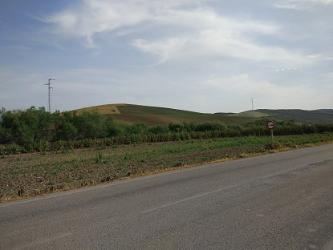 finca rústica en montilla