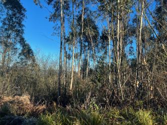 finca rústica en oviedo