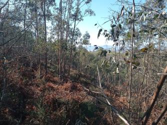 finca rústica en oviedo