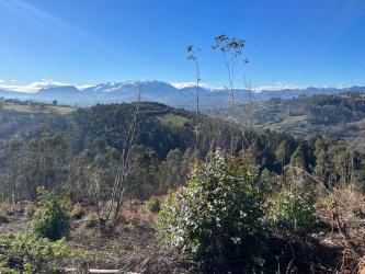 finca rústica en oviedo
