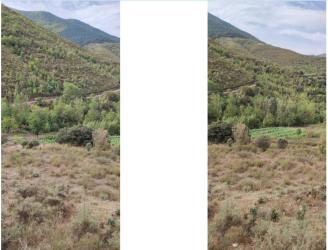 finca rústica en anguiano