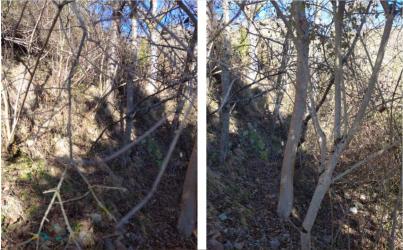 finca rústica en anguiano