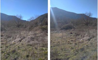 finca rústica en anguiano